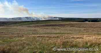 Northumberland high risk warning after RAF drafted in to battle Wark wildfire
