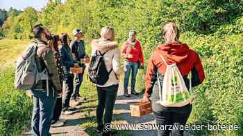 Social-Media im Nordschwarzwald: Drei Influencerinnen sollen  das Teinachtal hypen