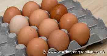 Can you store eggs in the fridge? Expert advice and when they go out of date