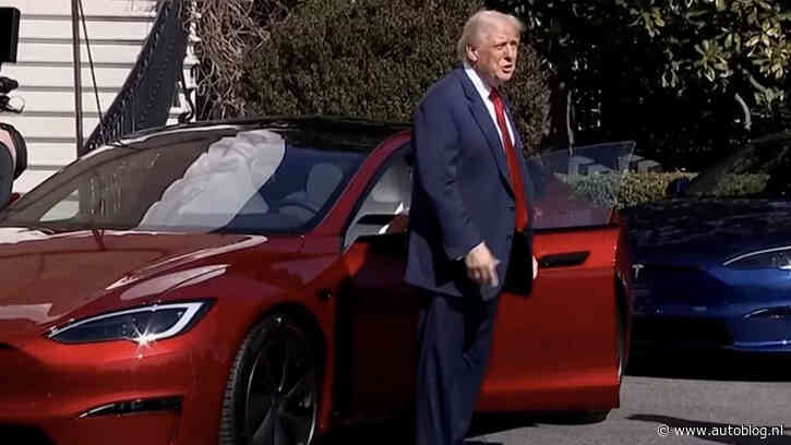 Bazen grote automerken: wees een Trump!