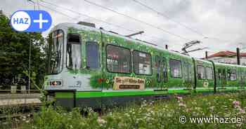 Hannover: Auto kollidiert auf Bischofsholer Damm mit Stadtbahn