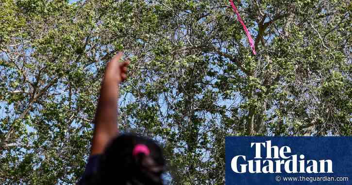 Most of LA’s trees are in wealthy, white neighborhoods. This school is smashing concrete to plant their own