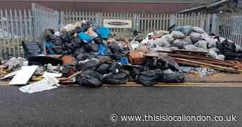 Huge rotting waste fly-tip finally removed