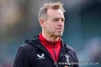 Wales' new-look coaching team revealed as Danny Wilson and legends called in