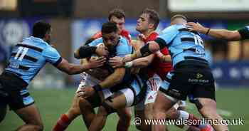 Stormers v Cardiff Live: Team news, kick-off time and TV details