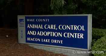 Wake animal shelter no longer allowing children on adoption floor after dog attack