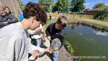 Provil vergroent speelplaats mét vijver: “Ik denk dat we de enige school zijn met vijver”