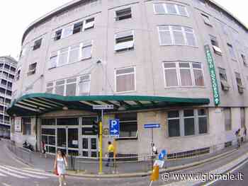 Le coltellate al petto del 13enne e al cane. Giallo a Milano