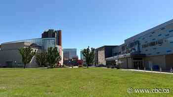 WIFF's outdoor movie screenings to be held mid-June on aquatic centre's front lawn