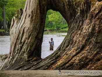 Photo Gallery: Best pictures for week ending May 15