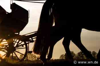 Hund erschreckt Pferd – Kutsche kollidiert mit Rennradfahrerin