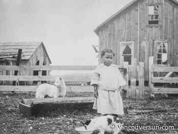 5 things to know about B.C.'s long-extinct Coast Salish Woolly Dog