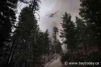 B.C. sending almost 100 firefighters to Ontario, after 42 deployed to Manitoba