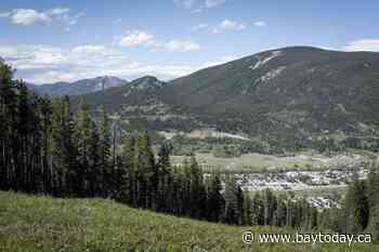 'A first step': Crowsnest Pass mayor excited about Northback drilling approval