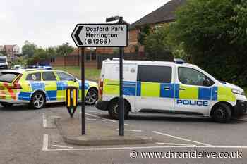 Air Ambulance called out after 'pedestrian hit by vehicle' in Sunderland