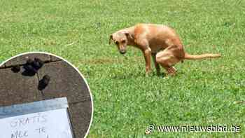 Politiezone Noord wijst inwoners op straat-etiquette: “Zou jij dit meenemen? Iemand anders dus ook niet”