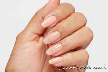 How to achieve the latest TikTok nail trend and the products you need