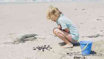 Hohe Bußgelder und Haftstrafen: Das sollten Reisende beim Strandurlaub nicht mitnehmen