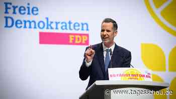 Neuer Parteichef Dürr soll FDP vor der Bedeutungslosigkeit bewahren