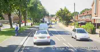 Teenage boy and girl arrested after kittens ‘tortured and killed’ in Ruislip