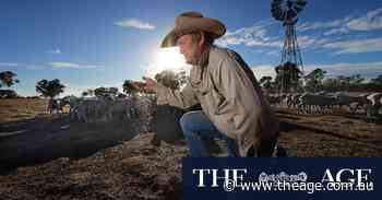 The Age photos of the week, May 17, 2025