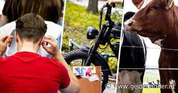 Onrust door loeiende koeien, fatbike-alarm en nog 5 dingen die opvielen in de eerste week van de eindexamens