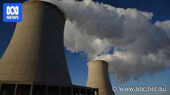 'Anything but that': Business leader begs Coalition not to reopen climate wars