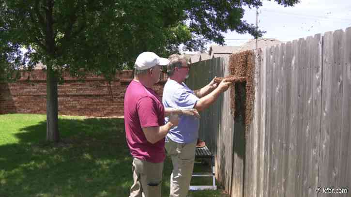 Former federal agents turned beekeepers protecting bees with friendly competition