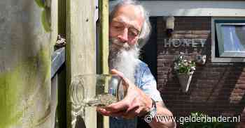 Zet je schrap voor een mogelijke wespenzomer: ‘Bekers met zoete limonade op tafel om ze te lokken’