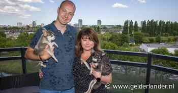 Alida staat met pech tussen voorbij razende vrachtwagens op de snelweg en dan is daar opeens die man