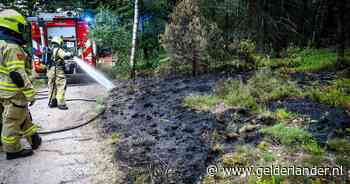 Brandweer met gillende sirenes naar natuurbrand in park Veluwezoom bij Velp