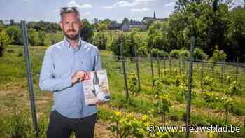 Limburgse wijndomeinen halen topscore in prestigieus Frans wijnmagazine: “Meer impact dan een wijnprijs winnen”