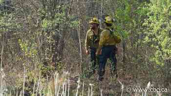 Manitoba battling 16 wildfires by Friday, largest blazes clustered in the southeast