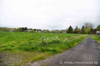 “Die gronden zijn toch niet gekocht om er koeien op te laten grazen?”: jaar na goedkeuring van plan voor Vondelbeekvallei is het wachten op uitvoering