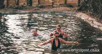 'Abandoned' seal pool becomes Bristol's newest cold swimming spot
