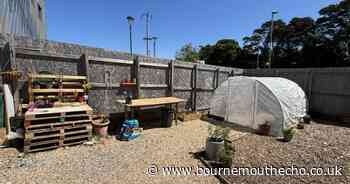 New community garden opens at university to help students