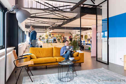 Infographic: Helft organisaties in Nederland heeft geen AI-strategie