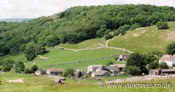 Country weekend walk: a short but delightful walk - with excellent cafe!