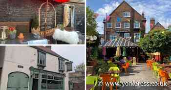 Here are some of York's 'hidden and quirky' beer gardens to enjoy in the sunshine