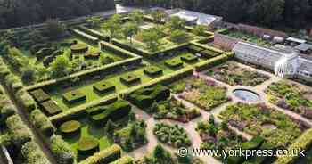 Plants, expert talks, and music at Scampston Walled Garden plant fair