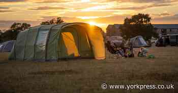 Popular family attraction near York gears up for half term