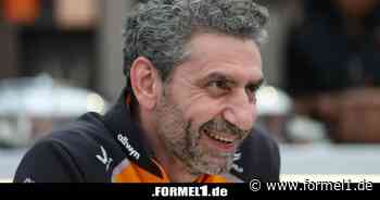 Andrea Stella: Falsche Verdächtigungen gut für McLaren