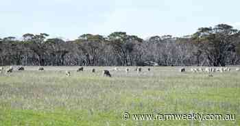Get your second wind near Esperance where mixed cropping enterprises pay
