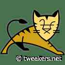 Software-update - Apache Tomcat 11.0.7 / 10.1.41 / 9.0.105