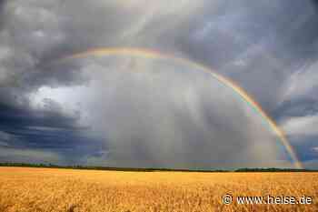 Platform Engineering: Vom Regenbogenteam zur reiferen Plattform