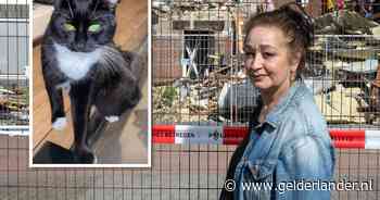 Na verwoestende brand is leven een rollercoaster voor Ilze en haar zoons: ‘Ik wil mijn Gato terug’