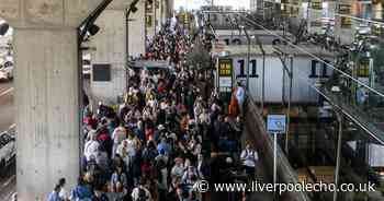 Brits face Spain travel chaos as major airport addresses 'infestation'