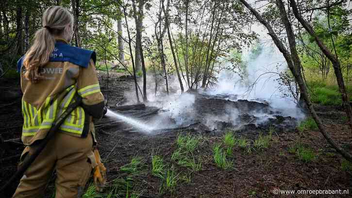 Natuurbrand laait weer op, temperatuur in grond meer dan 200 graden