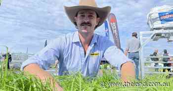 Wet paddocks need the rye remedy in this wetter than usual autumn season