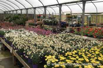 Vote for the best garden centre in Cambridgeshire